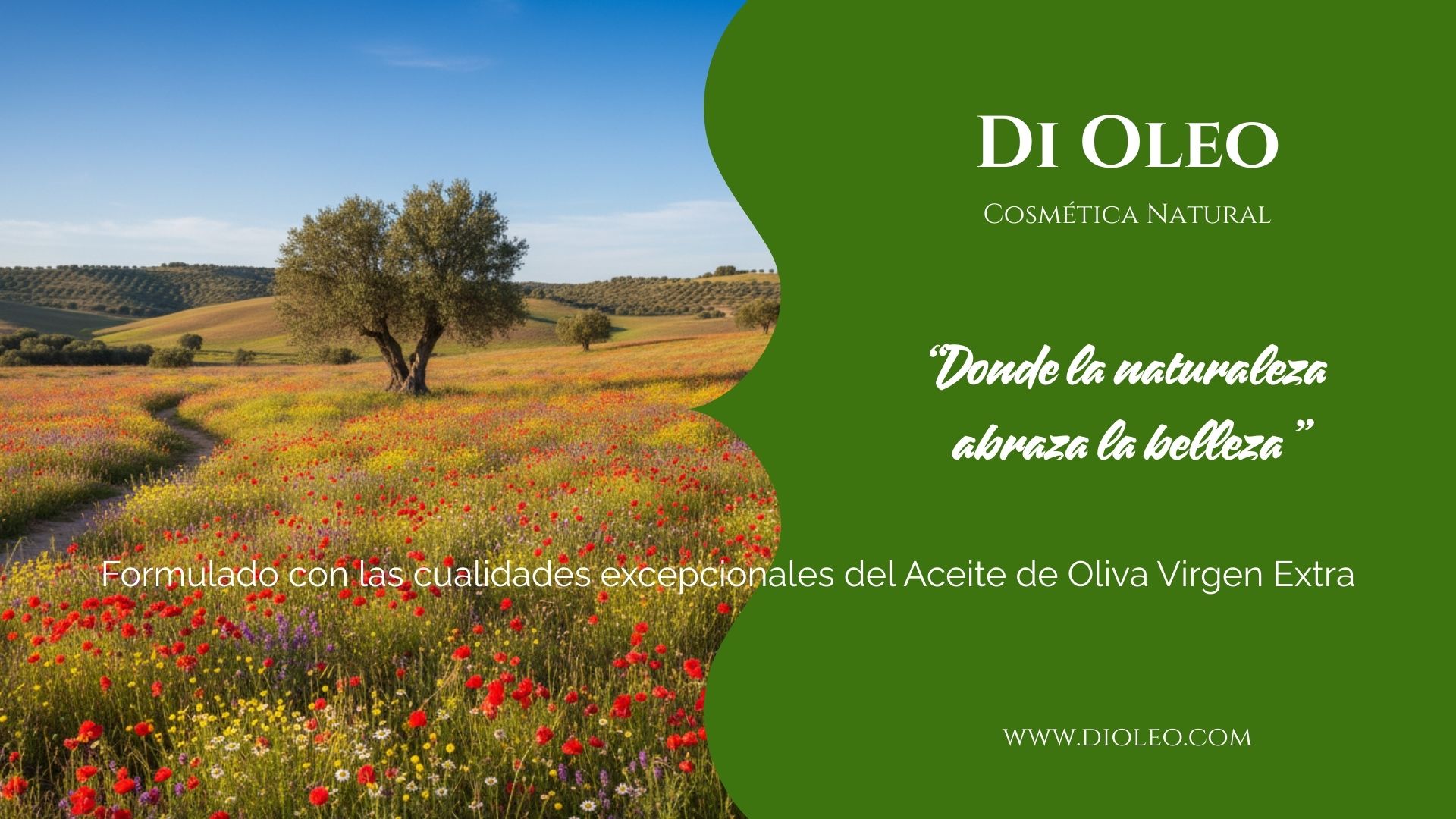 di oleo slider2 1920×1080-25