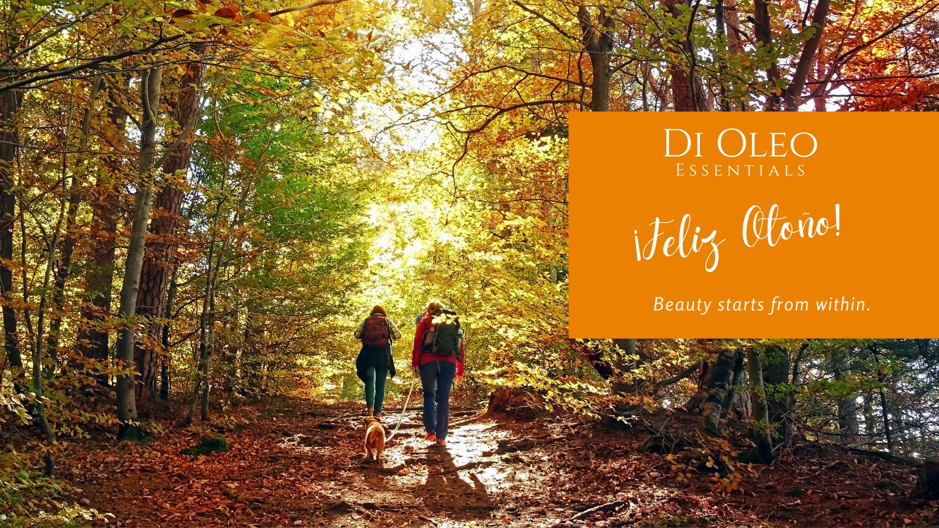 slider-otono-1920×1080