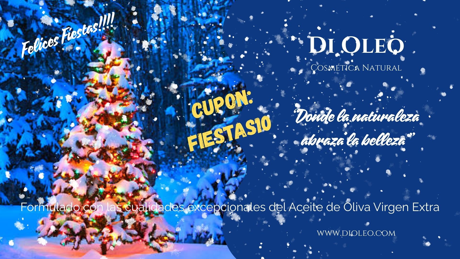 Winterslider-di-oleo-1920×1080-25 (1)