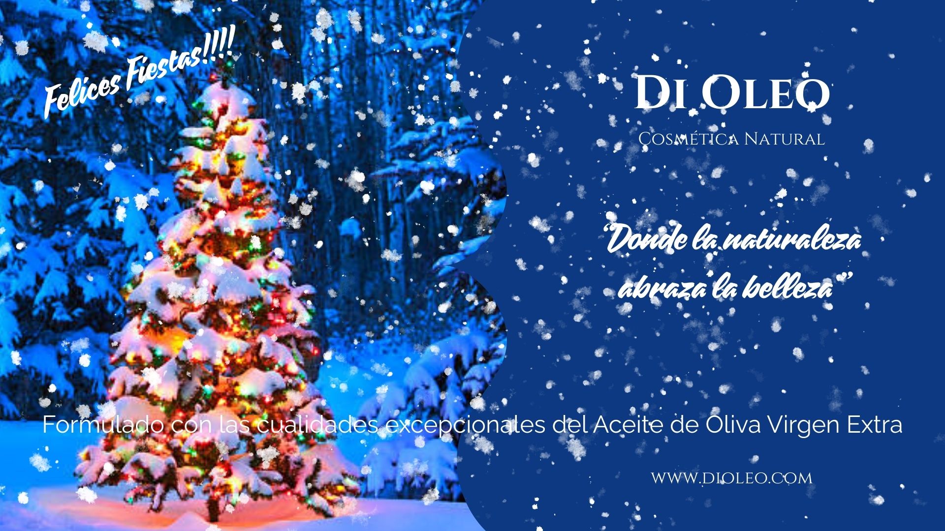 Winterslider-di-oleo-1920×1080-25