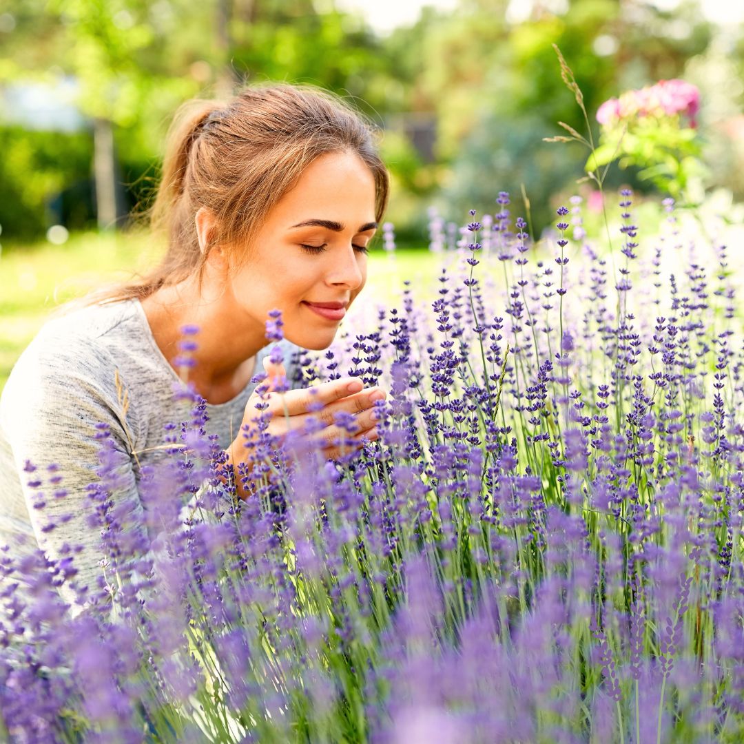 Aceite Corporal de Lavanda– Relajación & Descanso Total - Imagen 2
